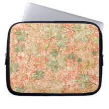 Abstrakt acer-löv på klippt koralljord