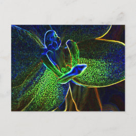 Abstrakt Anthura-vykort Vykort