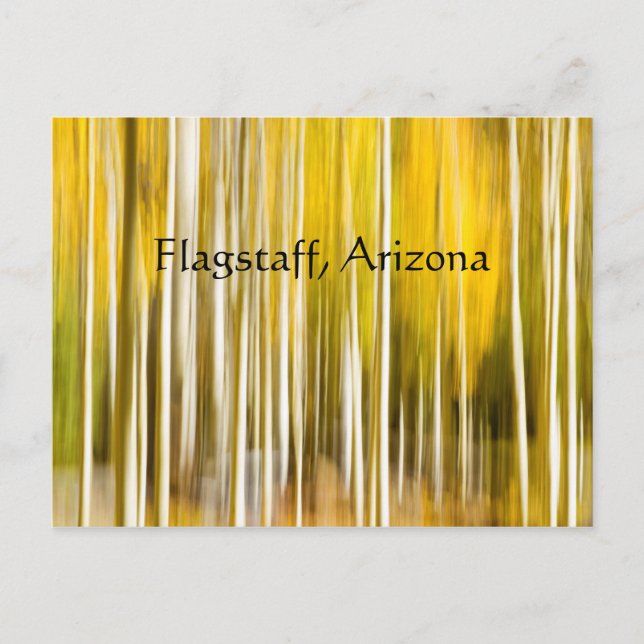 Abstrakt Aspen Flagstaff Arizona Vykort (Framsida)