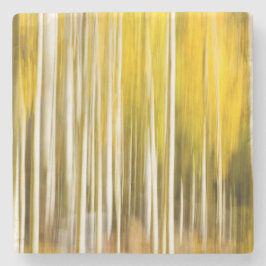 Abstrakt Aspen Stenunderlägg