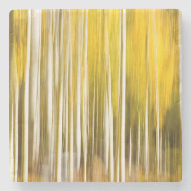 Abstrakt Aspen Stenunderlägg (Framsidan)