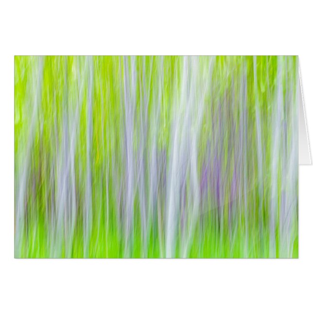 Abstrakt av asp | Yakima River Trail, WA Hälsningskort (Framsidan Horizontal)