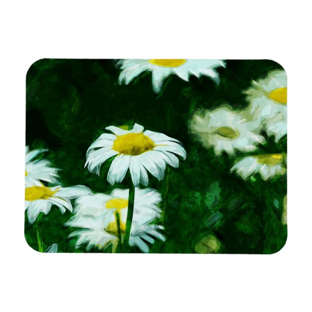 Abstrakt av  av Oxeye White Daisys Impressionism Magnet (Horisontell)