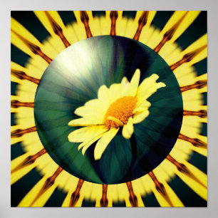 Abstrakt av Blommigt för Daisy av gult Poster
