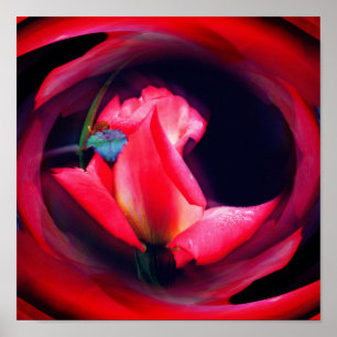 Abstrakt av Blommigten för rosa Rosenknopp Poster