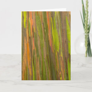 Abstrakt av Eucalyptus Bark Kort