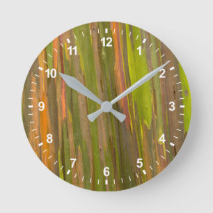 Abstrakt av Eucalyptus Bark Rund Klocka