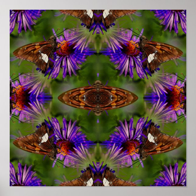 Abstrakt av fjäril på blommor poster (Framsidan)