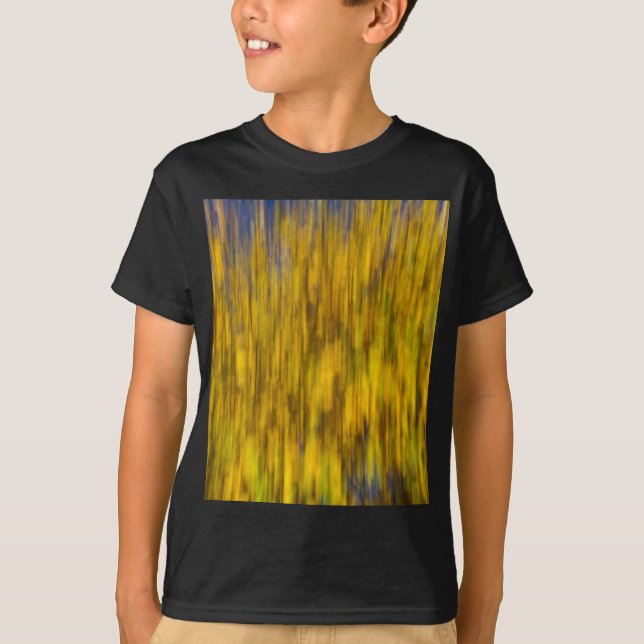 Abstrakt av hösten t-shirt (Framsida)