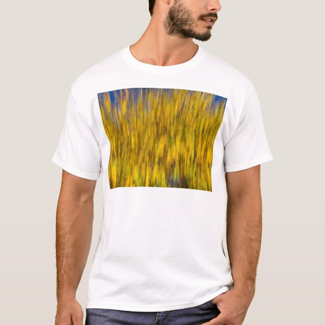 Abstrakt av hösten tee shirt (Framsida)
