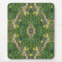 Abstrakt av torkad sommargräs