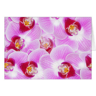 Abstrakt bakgrund av en Orchidblomma fotograferar OBS Kort