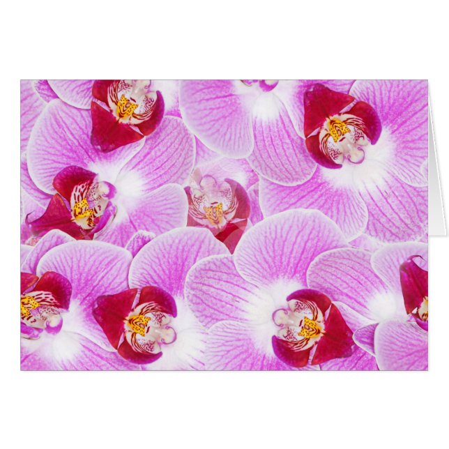Abstrakt bakgrund av en Orchidblomma fotograferar OBS Kort (Framsidan Horizontal)