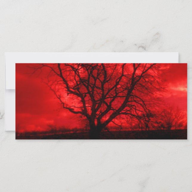 Abstrakt Bald Träd (Framsida)