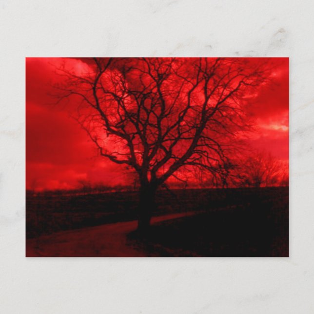 Abstrakt Bald Träd Vykort (Framsida)
