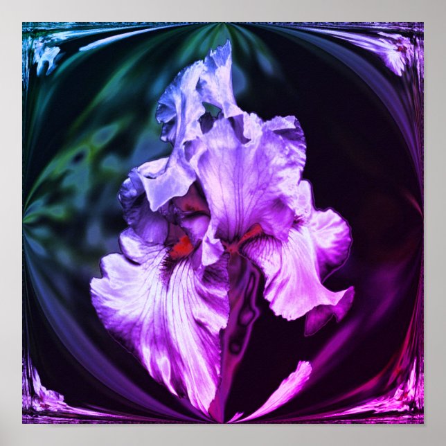 Abstrakt Bearded Iris Flower Art Poster (Framsidan)