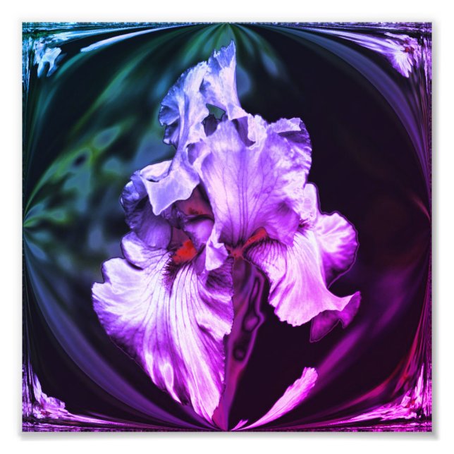 Abstrakt Beared Iris Flower Art 8x8 Fototryck (Framsidan)