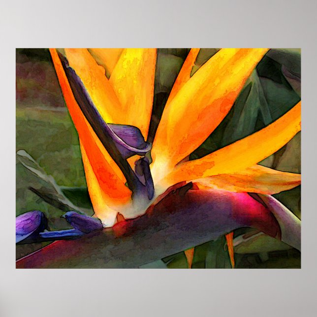 Abstrakt Bird of Paradise Poster (Framsidan)