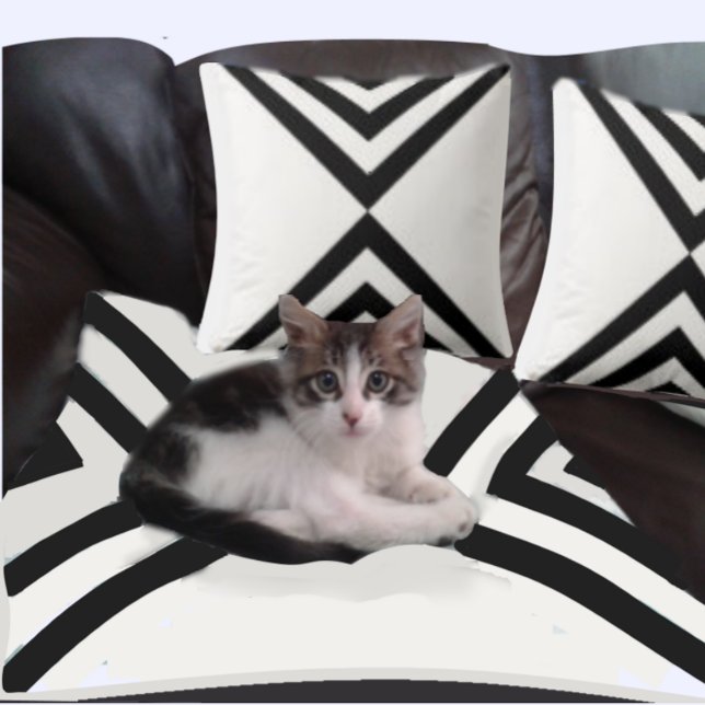 Abstrakt Black & White Stripe Dekorativ kudde (Skapare uppladdad)