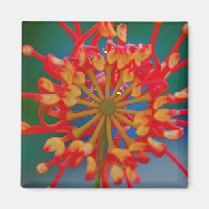 Abstrakt blommamagnet magnet