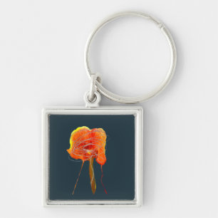 Abstrakt blommigt blommar modern fyrkantig silverfärgad nyckelring