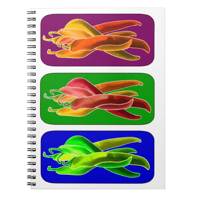 Abstrakt Chiles bärbara dator Anteckningsbok Med Spiral (Framsidan)