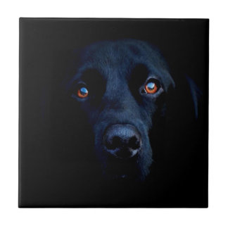 Abstrakt djur mörk hund kakelplatta