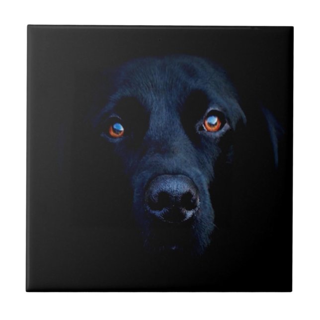 Abstrakt djur mörk hund kakelplatta (Framsidan)