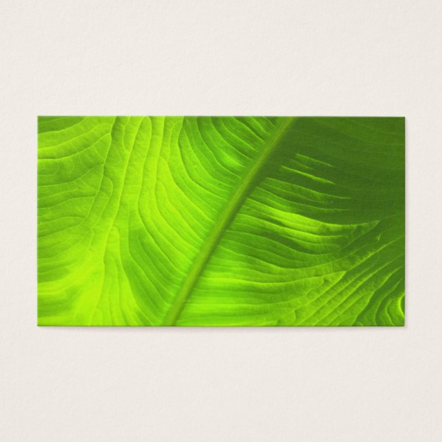 Abstrakt Elephant Ear Photo w/ Blank Back Visitkort (Framsidan)