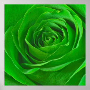 Abstrakt Emerald Grönt Ro Center-foto Poster