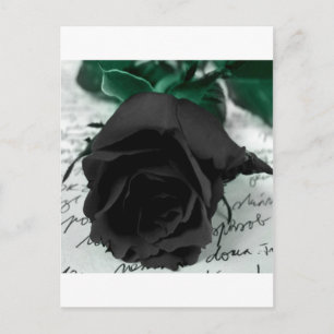 Abstrakt Flower Black Ro Vykort