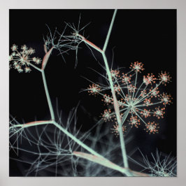 Abstrakt för Blommigt av elegant Mörk Poster