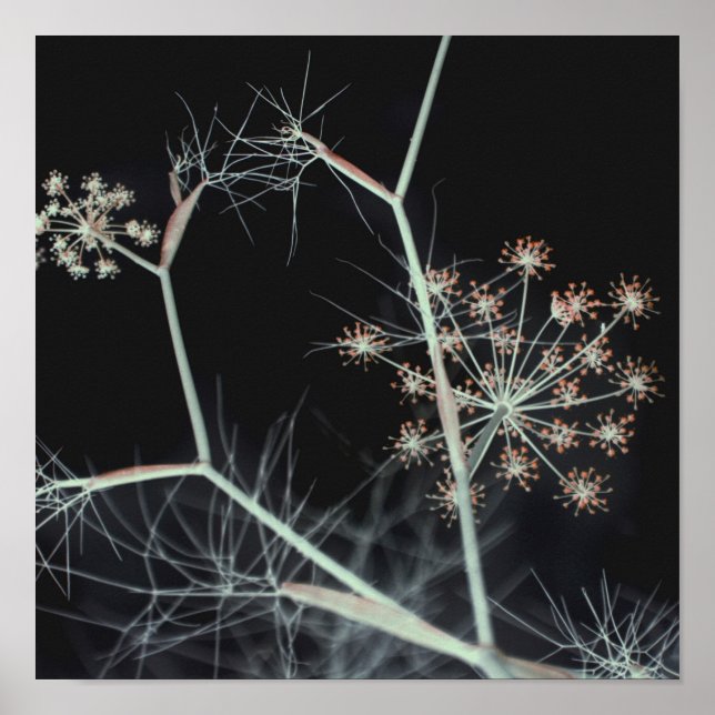 Abstrakt för Blommigt av elegant Mörk Poster (Framsidan)