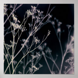 Abstrakt för Blommigt av elegant Mörk Poster