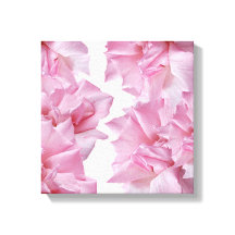 Abstrakt för fin blommigt i rosa ros