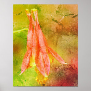 Abstrakt för kolumbine Flower Poster