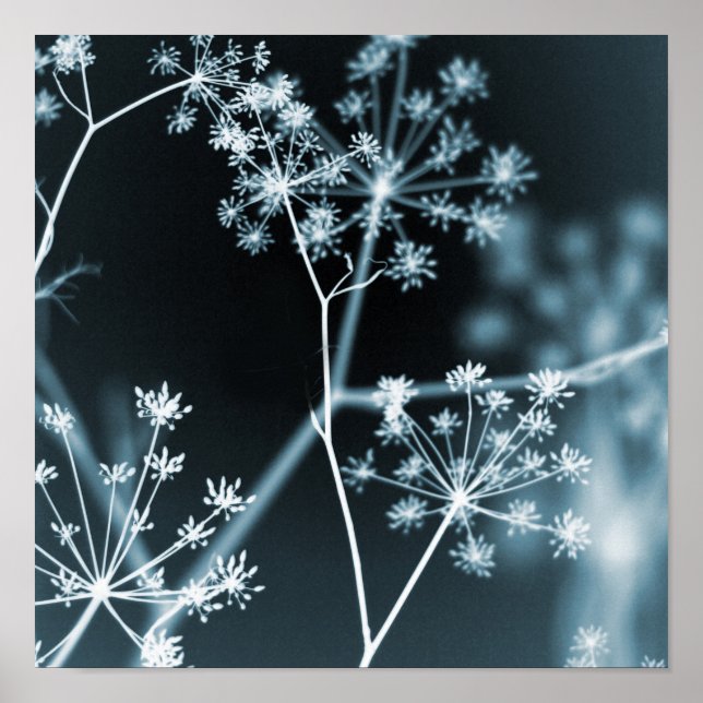 Abstrakt för Mörk blått Blommigt för elegant Poster (Framsidan)