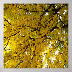 Abstrakt  för stensfärgade Löv höstvisas Poster