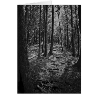 Abstrakt Forest OBS Kort