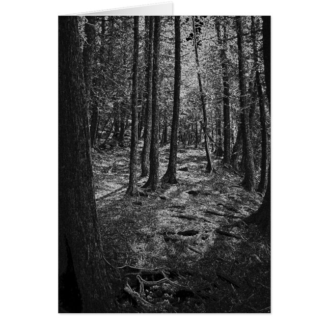 Abstrakt Forest OBS Kort (Framsidan)