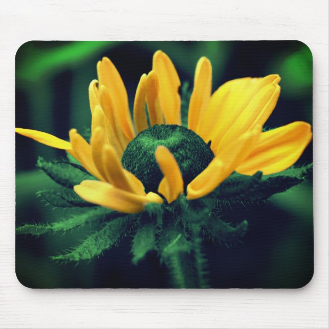 Abstrakt Grönt Black Eyed Susan Flower Art Musmatta (Framsidan)