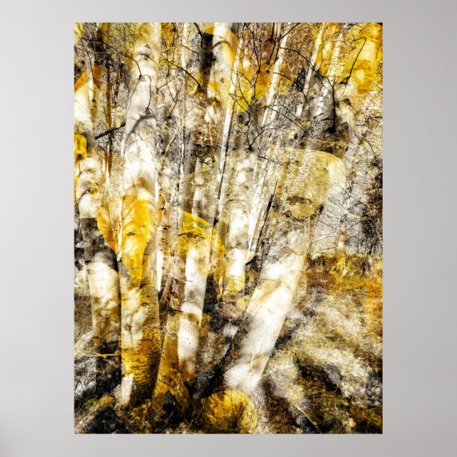 Abstrakt gul asp-skog poster (Framsidan)