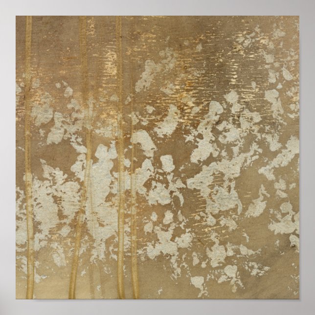 Abstrakt Guld-målning med Silver Speckles Poster (Framsidan)