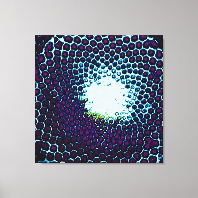Abstrakt Honeycomb Design blue och lila Canvastryck (Framsida)