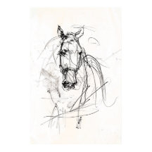 Abstrakt Horse Porträtt Sketch - Premium