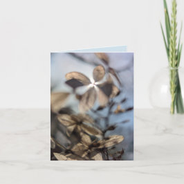 Abstrakt Hortensia Kort
