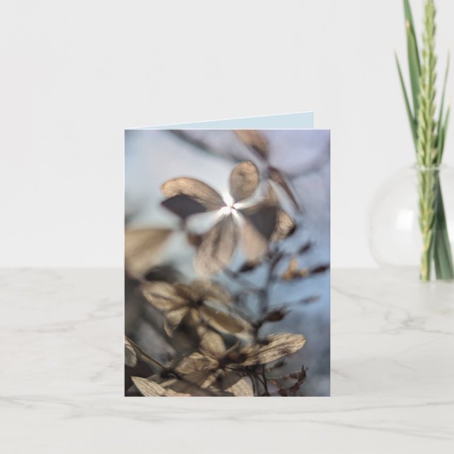 Abstrakt Hortensia Kort (Framsida)