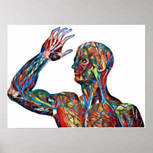 abstrakt - humana anatomi - vener artärkonst poster