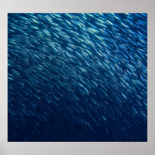 Abstrakt i undervattensfiskskolan poster