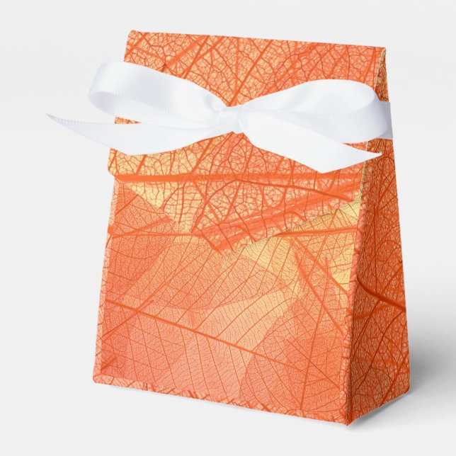    Abstrakt Inpackning 6 Presentaskar (Framsidan Sidan)